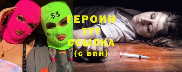 индика Вяземский